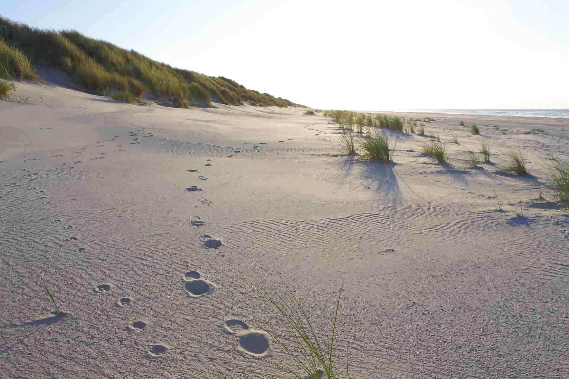 Last minute Waddeneilanden